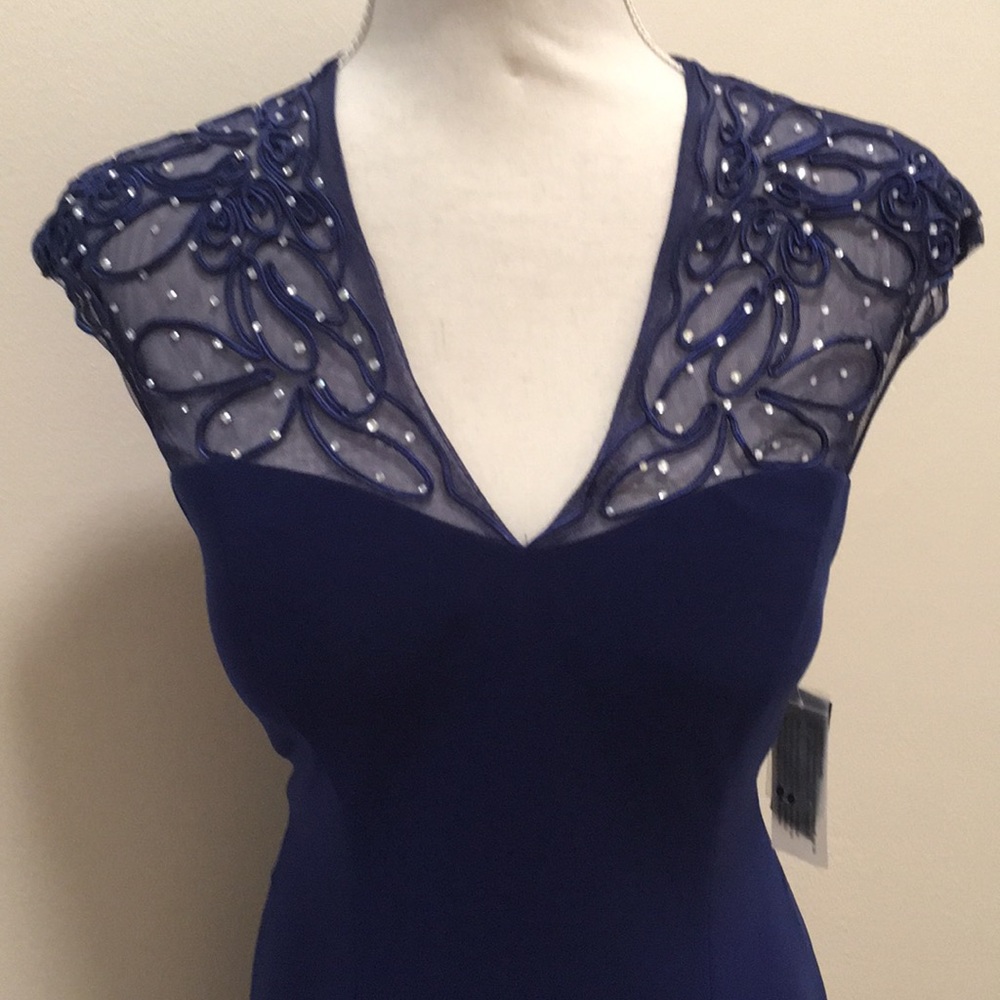 NWT ALEX EVENINGS